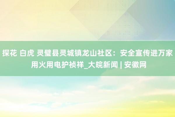 探花 白虎 灵璧县灵城镇龙山社区：安全宣传进万家 用火用电护祯祥_大皖新闻 | 安徽网