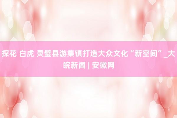 探花 白虎 灵璧县游集镇打造大众文化“新空间”_大皖新闻 | 安徽网