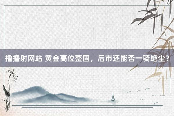 撸撸射网站 黄金高位整固，后市还能否一骑绝尘？