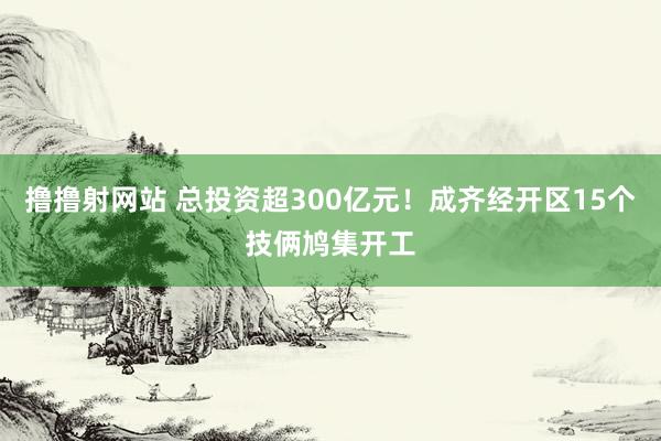 撸撸射网站 总投资超300亿元！成齐经开区15个技俩鸠集开工