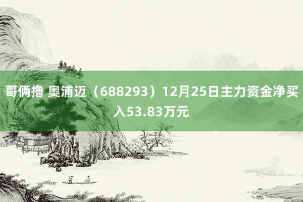 哥俩撸 奥浦迈（688293）12月25日主力资金净买入53.83万元