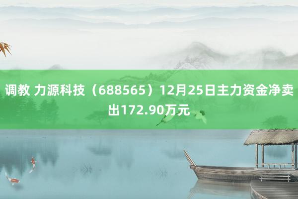 调教 力源科技（688565）12月25日主力资金净卖出172.90万元