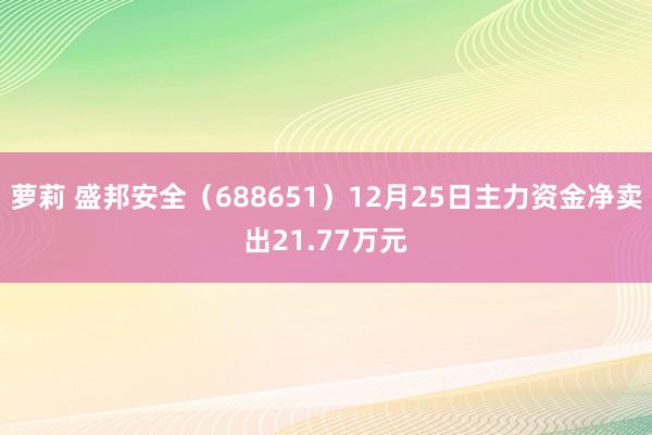 萝莉 盛邦安全（688651）12月25日主力资金净卖出21.77万元