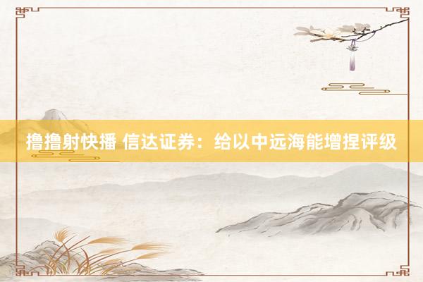 撸撸射快播 信达证券：给以中远海能增捏评级