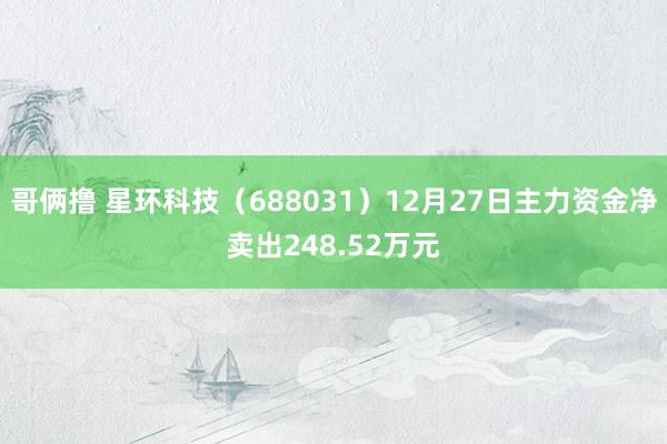 哥俩撸 星环科技（688031）12月27日主力资金净卖出248.52万元