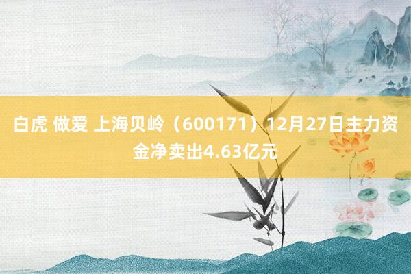 白虎 做爱 上海贝岭（600171）12月27日主力资金净卖出4.63亿元