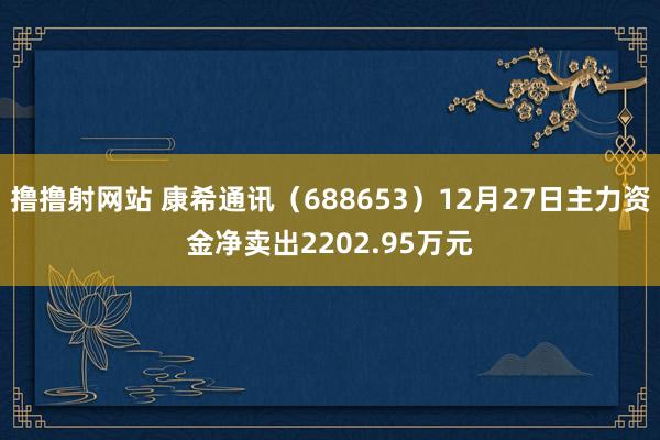 撸撸射网站 康希通讯（688653）12月27日主力资金净卖出2202.95万元