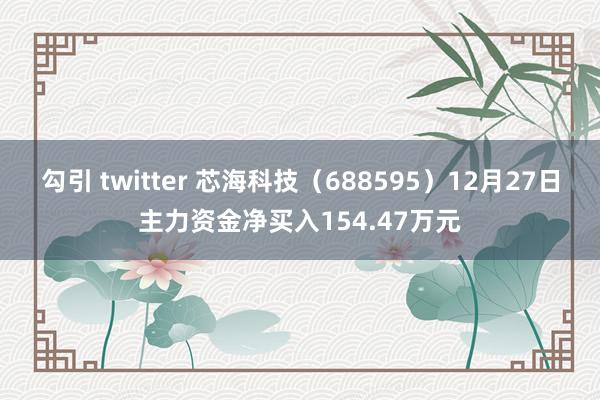 勾引 twitter 芯海科技（688595）12月27日主力资金净买入154.47万元