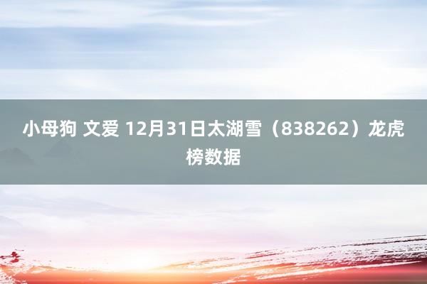 小母狗 文爱 12月31日太湖雪（838262）龙虎榜数据