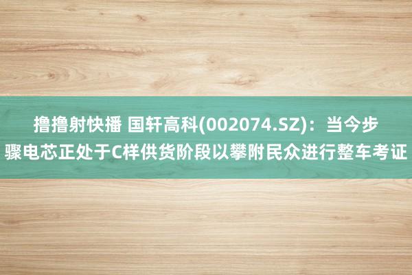 撸撸射快播 国轩高科(002074.SZ)：当今步骤电芯正处于C样供货阶段以攀附民众进行整车考证