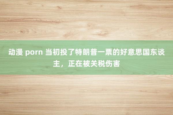 动漫 porn 当初投了特朗普一票的好意思国东谈主，正在被关税伤害