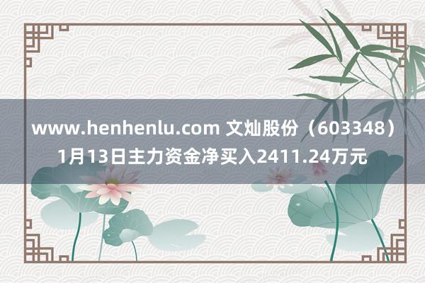 www.henhenlu.com 文灿股份（603348）1月13日主力资金净买入2411.24万元