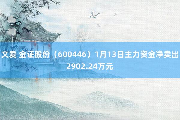 文爱 金证股份（600446）1月13日主力资金净卖出2902.24万元