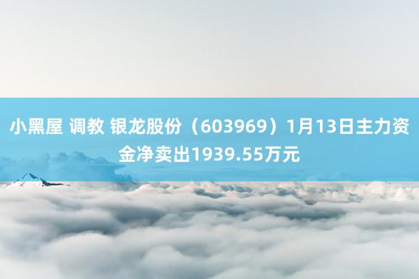 小黑屋 调教 银龙股份（603969）1月13日主力资金净卖出1939.55万元