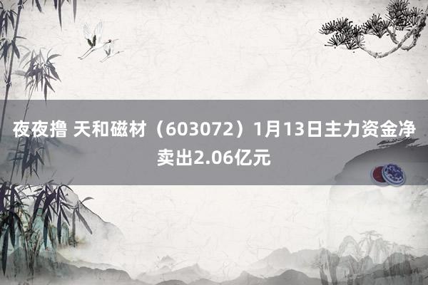 夜夜撸 天和磁材（603072）1月13日主力资金净卖出2.06亿元