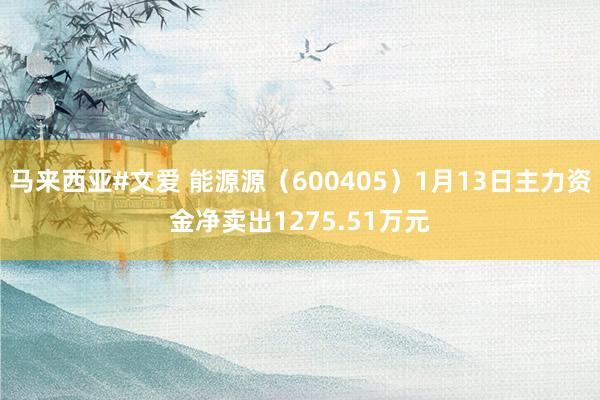 马来西亚#文爱 能源源（600405）1月13日主力资金净卖出1275.51万元