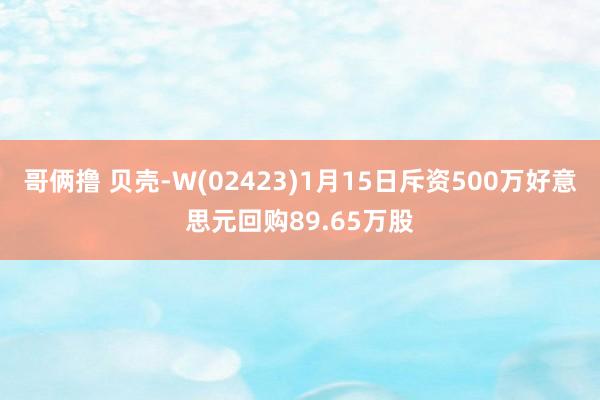 哥俩撸 贝壳-W(02423)1月15日斥资500万好意思元回购89.65万股