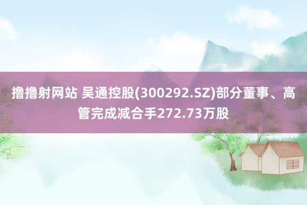 撸撸射网站 吴通控股(300292.SZ)部分董事、高管完成减合手272.73万股
