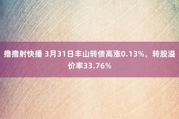 撸撸射快播 3月31日丰山转债高涨0.13%，转股溢价率33.76%