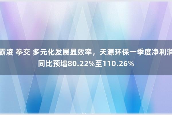 霸凌 拳交 多元化发展显效率，天源环保一季度净利润同比预增80.22%至110.26%