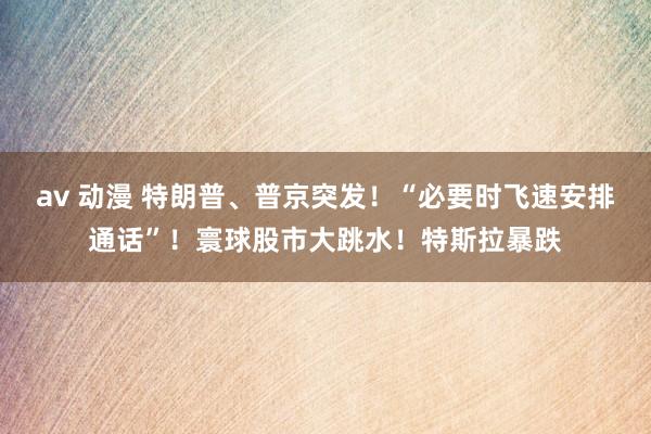 av 动漫 特朗普、普京突发！“必要时飞速安排通话”！寰球股市大跳水！特斯拉暴跌