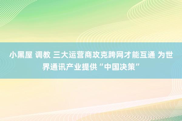 小黑屋 调教 三大运营商攻克跨网才能互通 为世界通讯产业提供“中国决策”