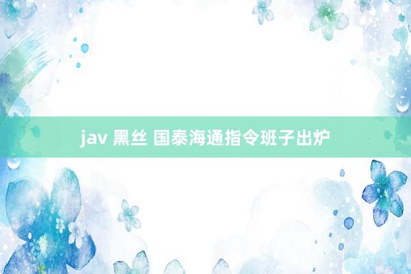 jav 黑丝 国泰海通指令班子出炉