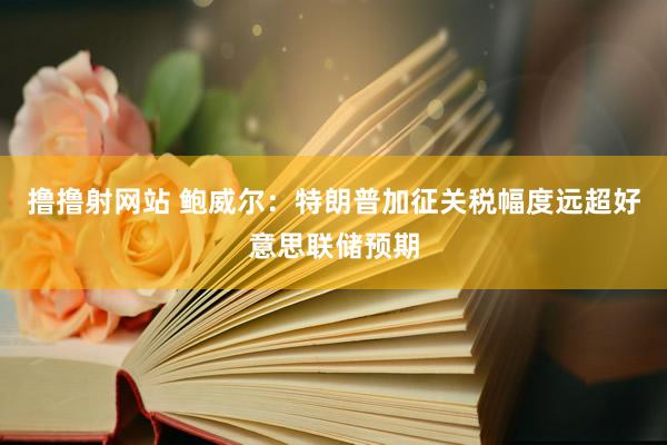 撸撸射网站 鲍威尔：特朗普加征关税幅度远超好意思联储预期