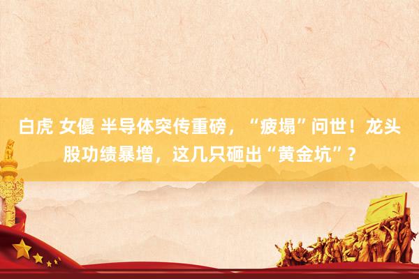 白虎 女優 半导体突传重磅，“疲塌”问世！龙头股功绩暴增，这几只砸出“黄金坑”？