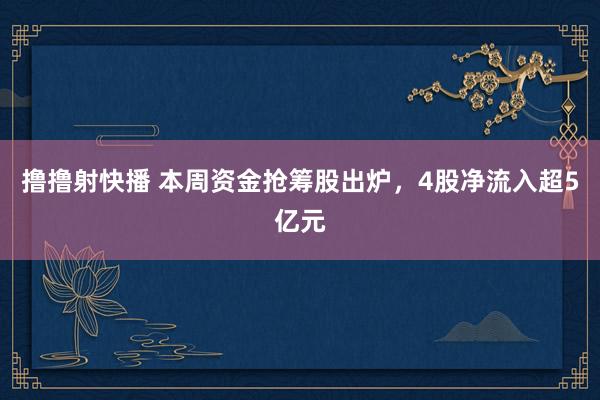 撸撸射快播 本周资金抢筹股出炉，4股净流入超5亿元
