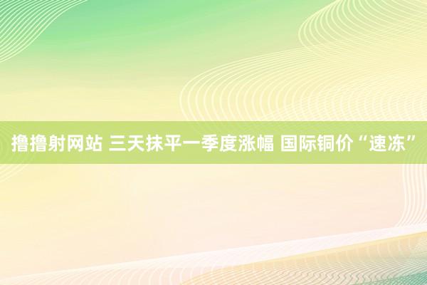 撸撸射网站 三天抹平一季度涨幅 国际铜价“速冻”