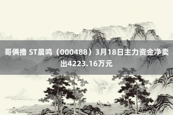 哥俩撸 ST晨鸣（000488）3月18日主力资金净卖出4223.16万元