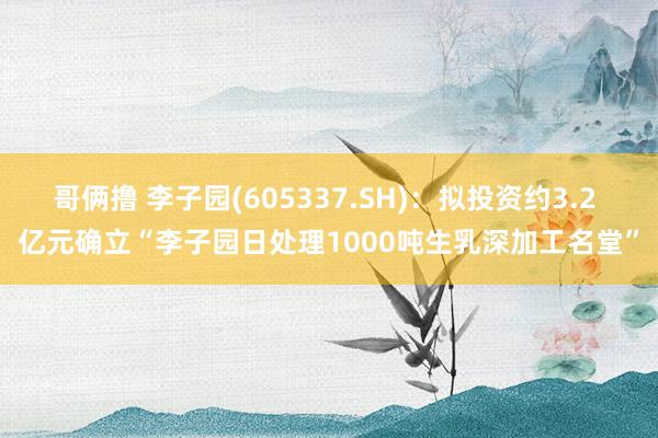 哥俩撸 李子园(605337.SH)：拟投资约3.2 亿元确立“李子园日处理1000吨生乳深加工名堂”