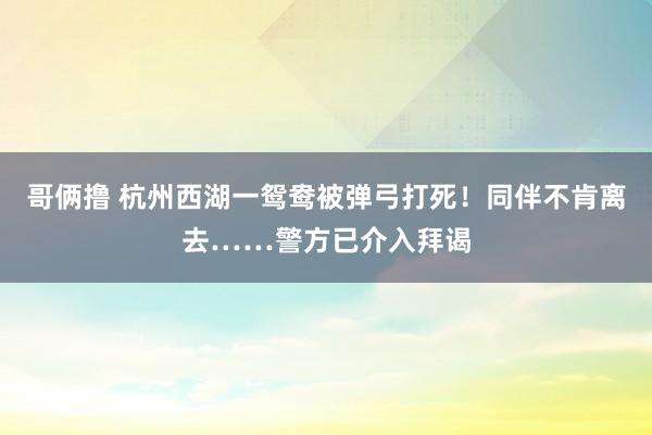 哥俩撸 杭州西湖一鸳鸯被弹弓打死！同伴不肯离去……警方已介入拜谒