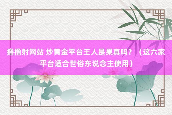 撸撸射网站 炒黄金平台王人是果真吗？（这六家平台适合世俗东说念主使用）