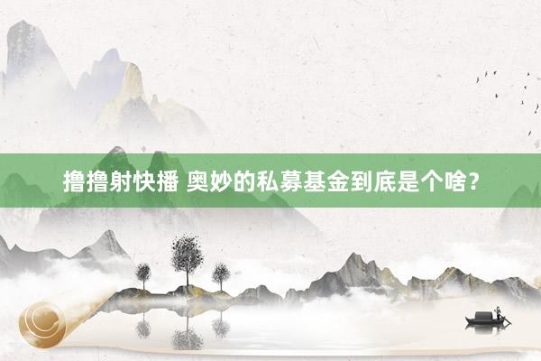 撸撸射快播 奥妙的私募基金到底是个啥？