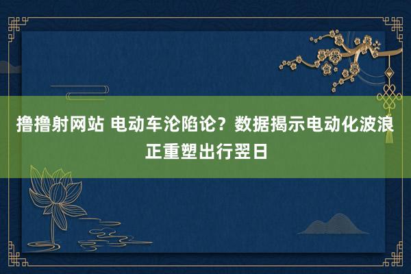 撸撸射网站 电动车沦陷论？数据揭示电动化波浪正重塑出行翌日