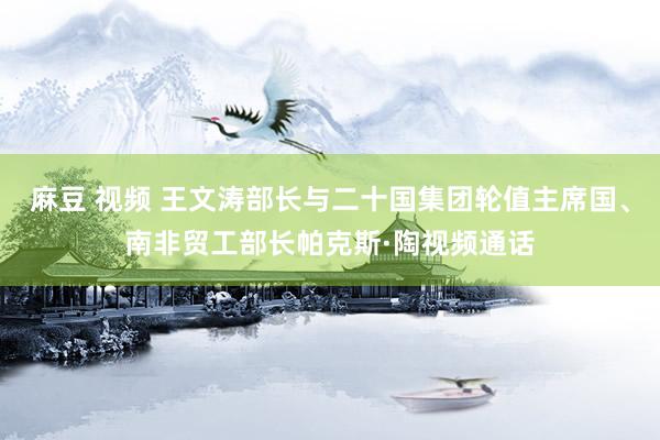 麻豆 视频 王文涛部长与二十国集团轮值主席国、南非贸工部长帕克斯·陶视频通话