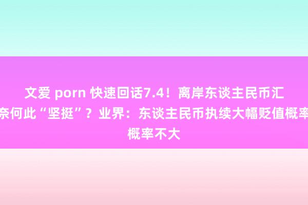 文爱 porn 快速回话7.4！离岸东谈主民币汇率缘奈何此“坚挺”？业界：东谈主民币执续大幅贬值概率不大