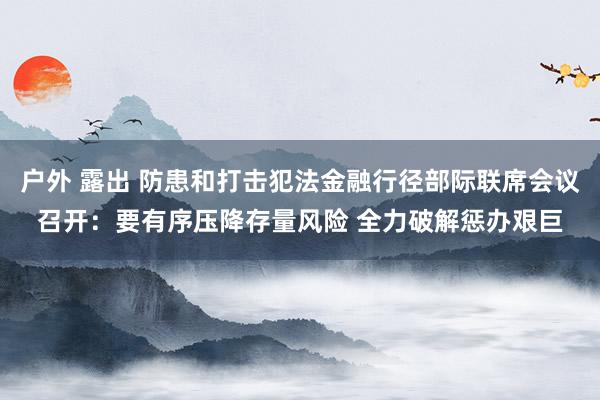 户外 露出 防患和打击犯法金融行径部际联席会议召开：要有序压降存量风险 全力破解惩办艰巨