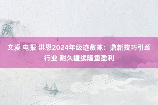 文爱 电报 洪恩2024年级迹敷陈：鼎新技巧引颈行业 耐久握续隆重盈利