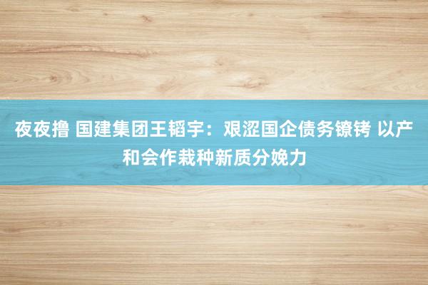 夜夜撸 国建集团王韬宇：艰涩国企债务镣铐 以产和会作栽种新质分娩力