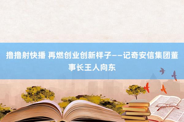 撸撸射快播 再燃创业创新样子——记奇安信集团董事长王人向东