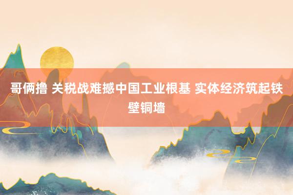 哥俩撸 关税战难撼中国工业根基 实体经济筑起铁壁铜墙