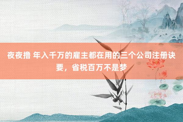 夜夜撸 年入千万的雇主都在用的三个公司注册诀要，省税百万不是梦