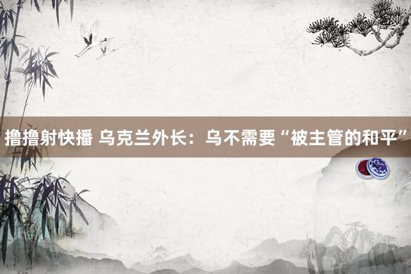 撸撸射快播 乌克兰外长：乌不需要“被主管的和平”
