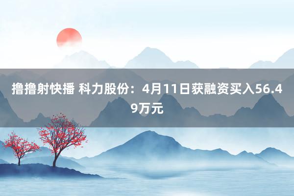 撸撸射快播 科力股份：4月11日获融资买入56.49万元