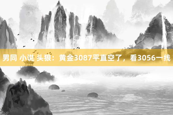 男同 小说 头狼：黄金3087平直空了，看3056一线