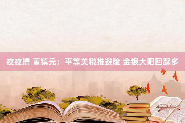 夜夜撸 董镇元：平等关税推避险 金银大阳回踩多
