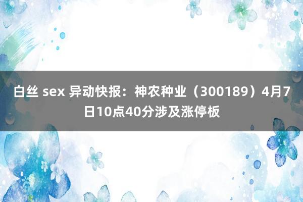 白丝 sex 异动快报：神农种业（300189）4月7日10点40分涉及涨停板